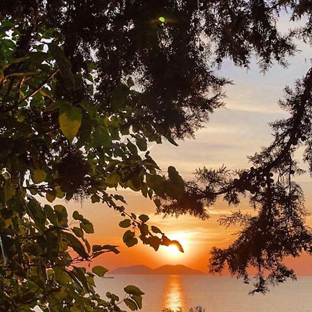 Villa Gaudium Radhimë Εξωτερικό φωτογραφία